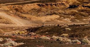 【欧冠】巴塞罗那主场逆转，成功把糟糕状态抛给切尔西