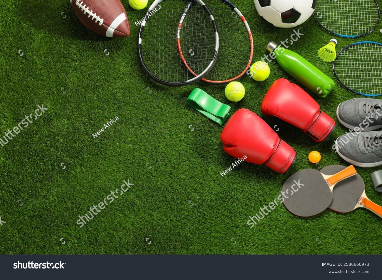 2026 WBC：日本队主帅透露，为了应对赛程中的长途飞行，球队已预订了专属的休息优化设备